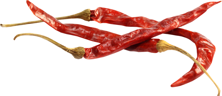 Dried Chilies Closeup 